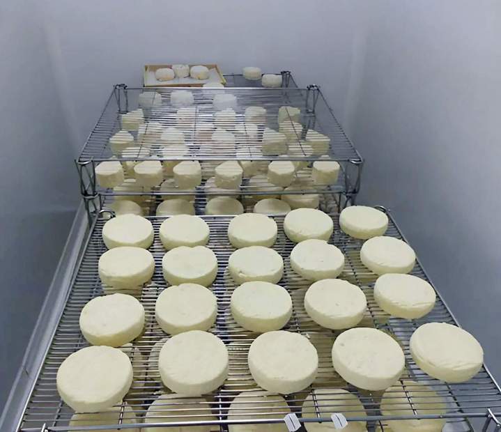 Fabriquant de fromage Puy-d'Arnac