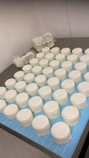 DD89B0C5 A41A 4EFA A13B A72040F335D5 (1) min