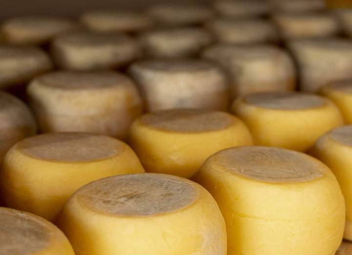 Des fromages au lait de vache pour tous les goûts !